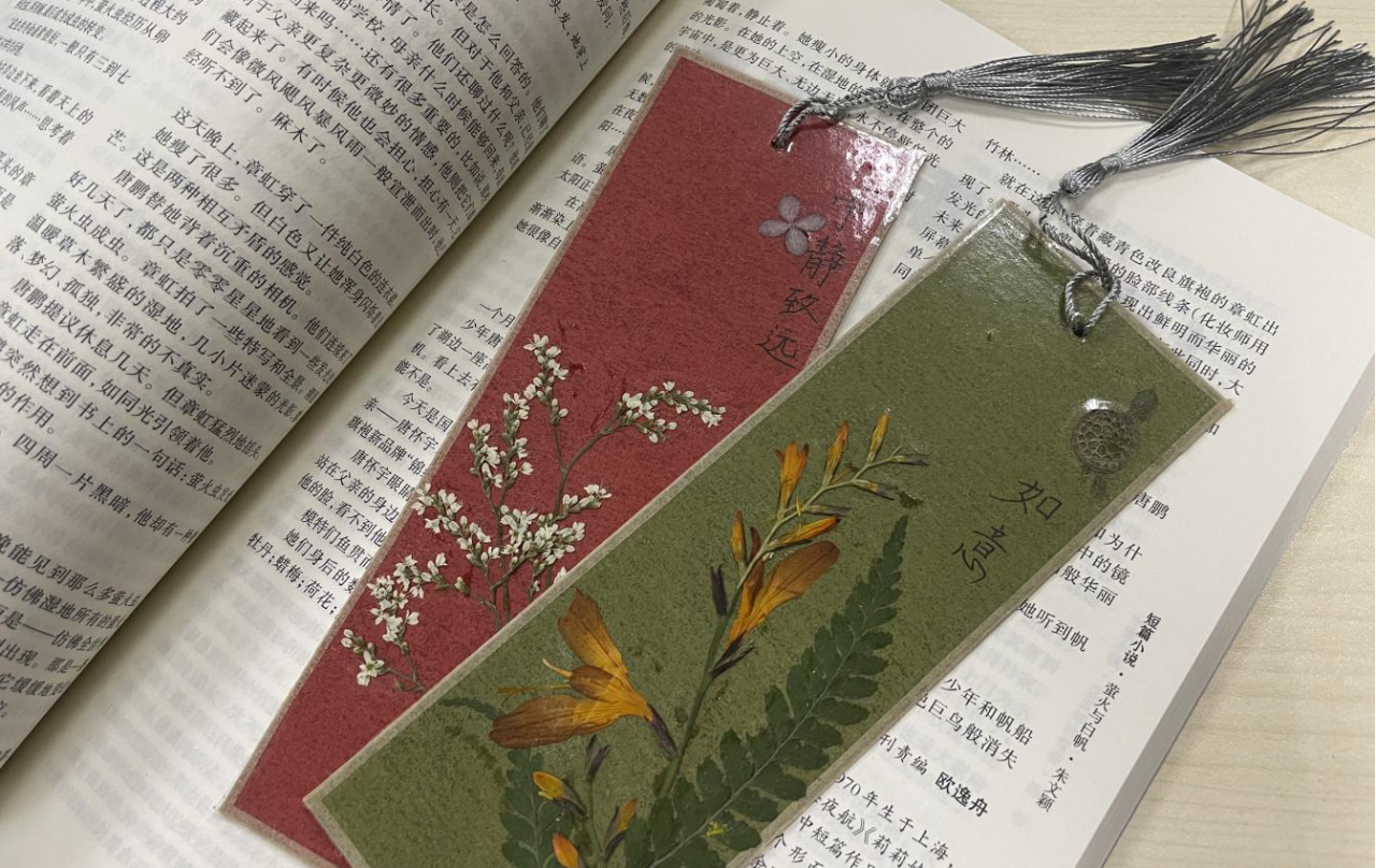 1734334348112205.png 1734334348112205.png